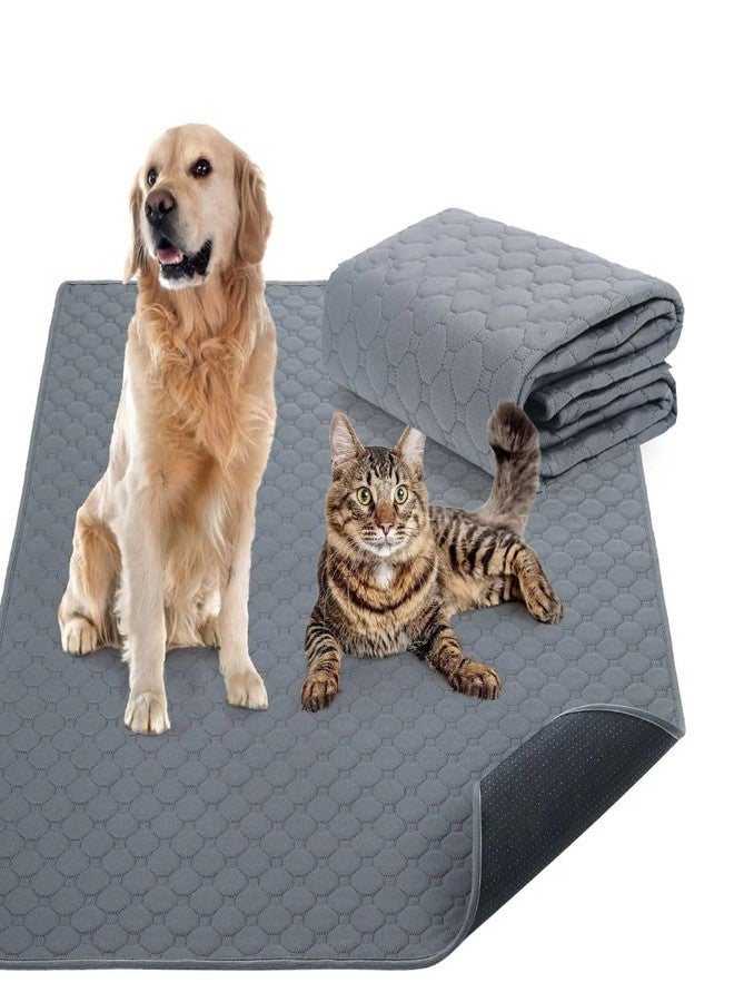 PET FUN فوط تدريب الكلاب القابلة للغسل من بيت فن - فوط تدريب قابلة لإعادة الاستخدام، عالية الامتصاص، مانعة للتسرب للجراء والكلاب الكبيرة في السن | حصيرة تدريب متعددة الأغراض للكلاب (عبوة من قطعة واحدة، 60 × 45 سم) - Image 1